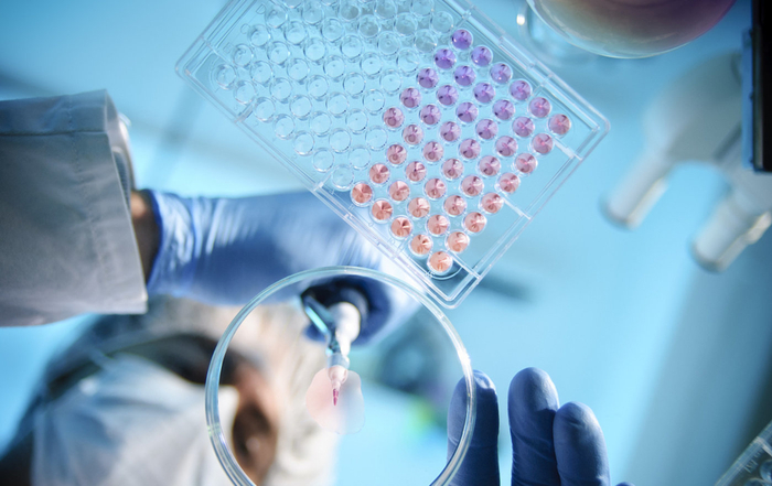 图片来源@视觉中国