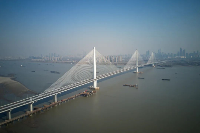 南报融媒体记者 徐琦 摄