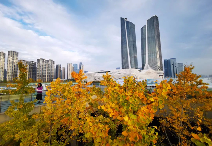 南报融媒体记者 杜文双 摄