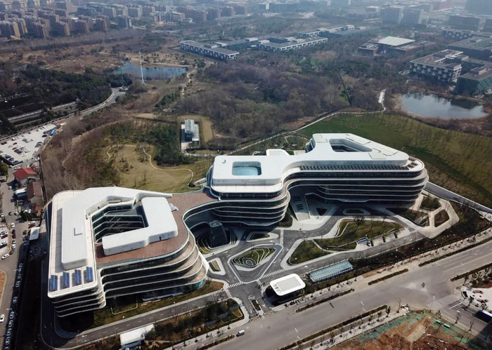 南报融媒体记者 崔晓 摄