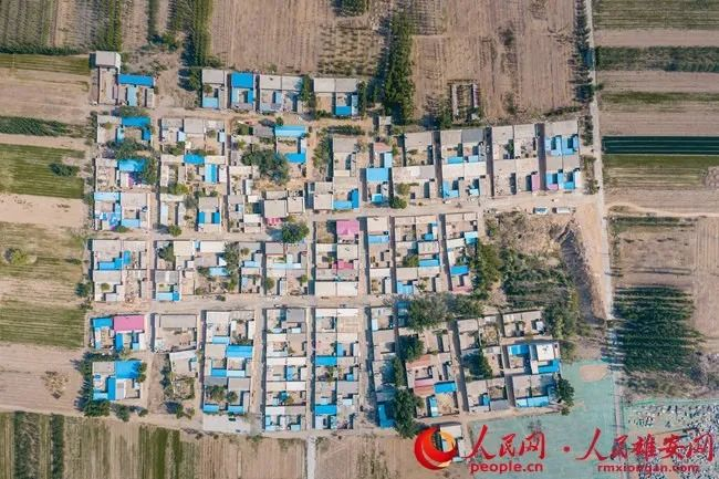 雄县孟庄村俯瞰图。梁克义摄