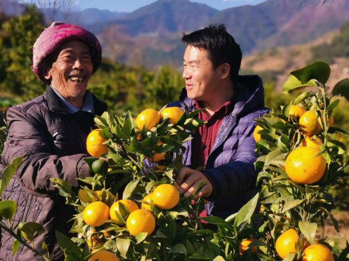 ▲李进学指导村民科学种植。