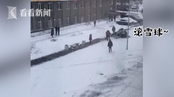 视频｜大象搬家逃到雪地撒欢 马戏团：它看到雪想散步