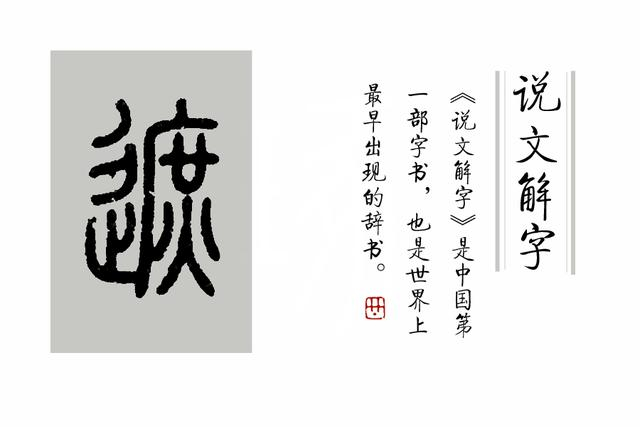 《说文解字》第276课：细说“遮”字