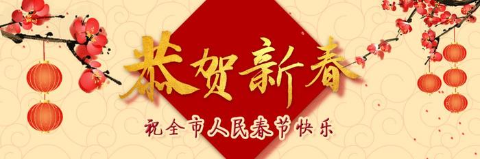 全市人民及广大网友，泽华书记、伟汉市长给您拜年啦！