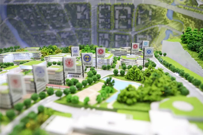 ▲ 华东师范大学重庆研究院选址模型