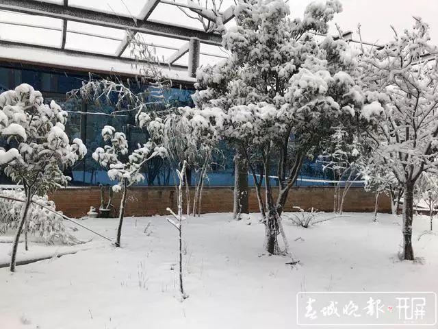 昆明、曲靖、罗平、会泽都下雪了，云南多条高速临时交通管制或封闭