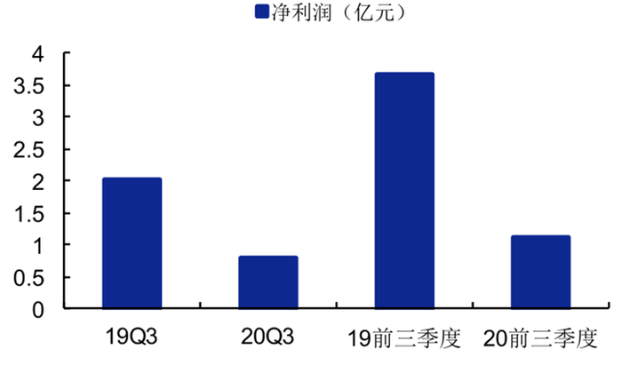 ▲华米科技 2019Q3 和 和 2020Q3 净利润（亿元）