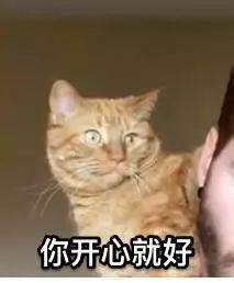 加拿大肌肉小哥和爱猫组团秀身材，喵星人竟也可以成为健身利器！