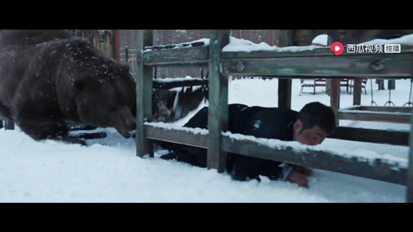 熊出没这个桥段，实在有些离谱