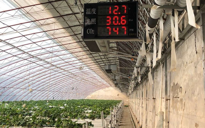 智能调控的大棚。受访者供图