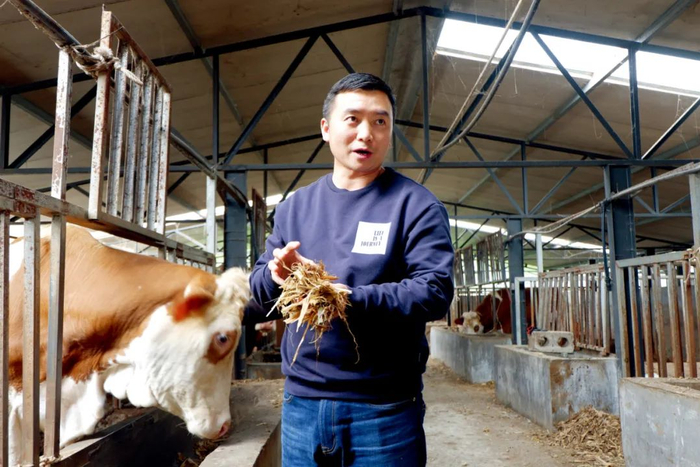 2020年11月初，贵州六盘水市水城县阿戛镇，电光村第一书记苏维介绍养牛产业情况。本版摄影/本刊记者 黄孝光