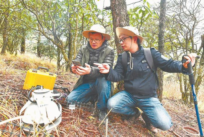 福建师大博士生在黄山松森林样地进行土壤碳通量测定