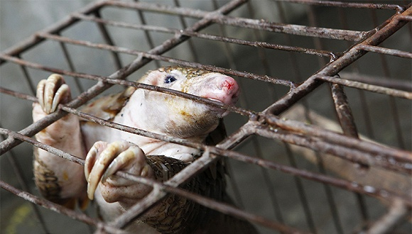 图片来源：视觉中国