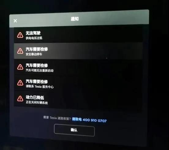 ModelS失速瞬间，车机跳出5个故障码 受访者供图