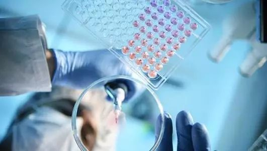 ▲图片来源：新京报网