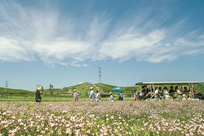 ↑兴安盟生态美景。（兴安盟委宣传部供图）
