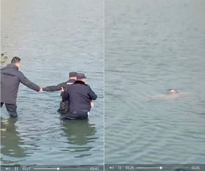  截图来自现场视频