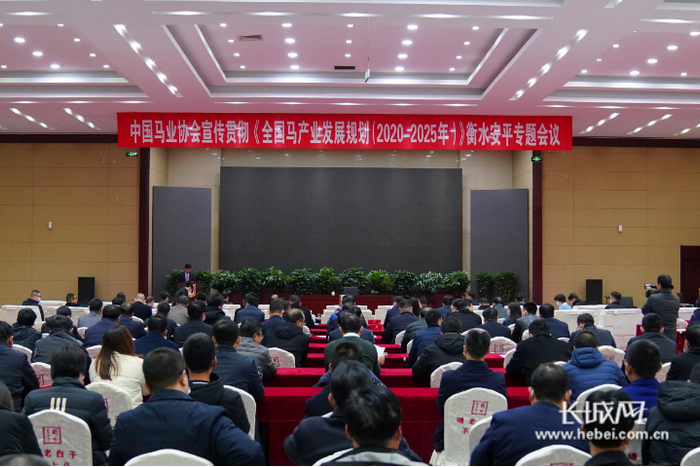 专题会议现场。长城网记者 张千 摄