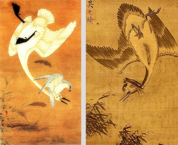 海青拿天鹅，图片来自“湘上孺子牛”博客