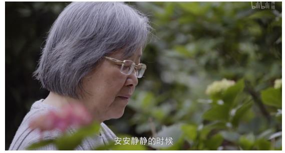 中国绘本界的先驱蔡皋