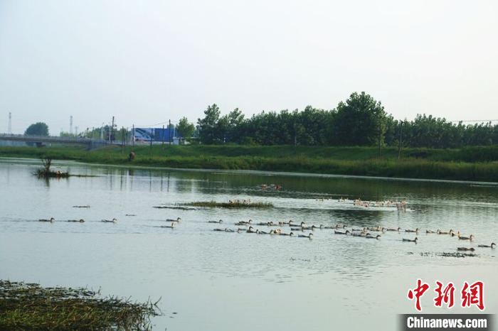 宜昌以绿为“底”强化生态保护治理(资料图) 谢炳荣 摄