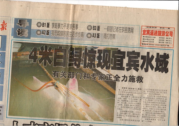 钟倩保存着当年的报道。本文图片 受访者供图