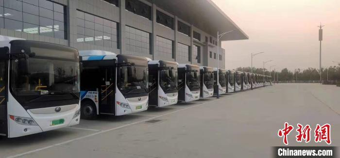  资料图：某长途汽车站客运班车整齐待发。　杨天舒 摄