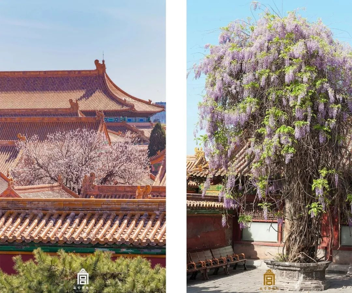 △摄影/张林&nbsp;来源/微故宫