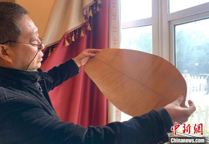 图为经过处理的叶片 武一力 摄