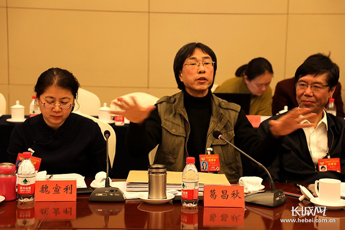省政协委员葛昌秋在小组会议上发言。长城新媒体记者 万前进 摄