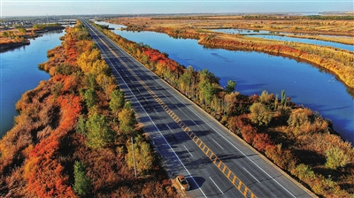 银川滨河大道两旁的湿地美景。银川晚报记者　苏勇　摄