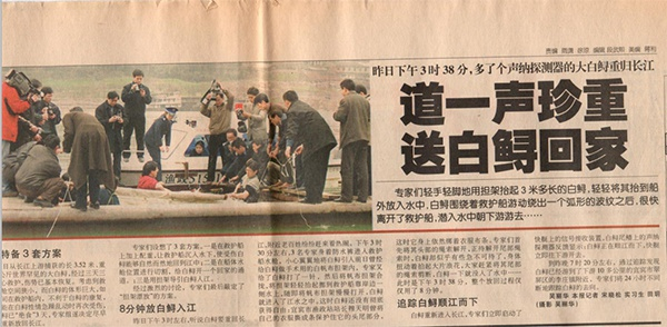 钟倩保存着当年的报道。