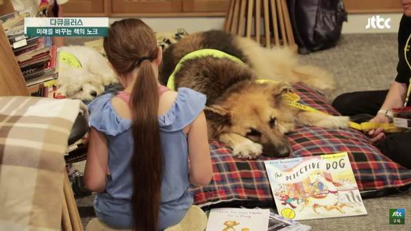 JTBC纪录片探访欧洲的小朋友与狗共读的狗图书馆