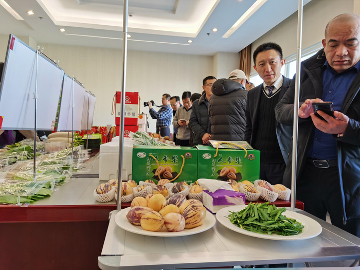 部分农产品主产区带来了优质农产品到场，与蔬菜保供企业签订供应协议，供应北京春节市场。摄影/新京报记者 陈琳