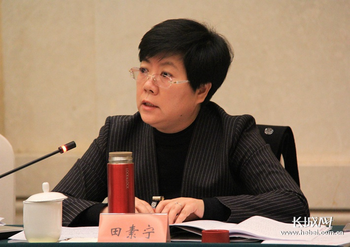 省政协委员田素宁发言。 长城新媒体记者 段维佳 摄