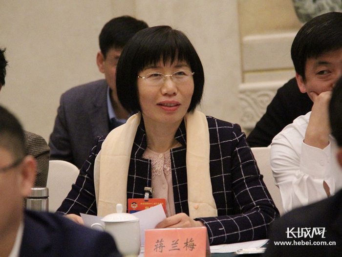 省政协委员蒋兰梅发言。 长城新媒体记者 段维佳 摄