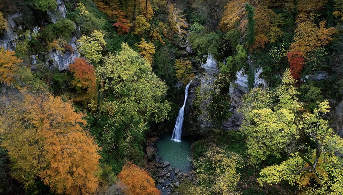 希尔卡尼亚森林 YouTube视频截图
