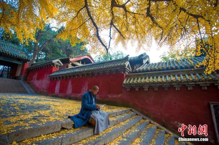 资料图：秋日的嵩山少林寺。付文龙 摄