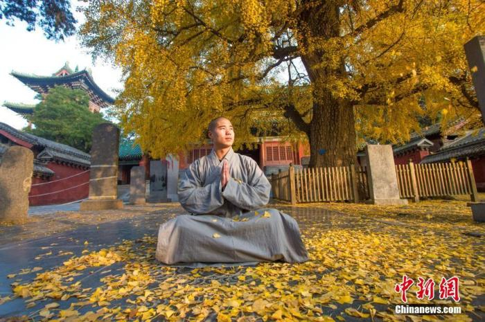 资料图：秋日的嵩山少林寺。付文龙 摄