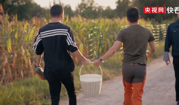 期待“撒尼”CP再合体