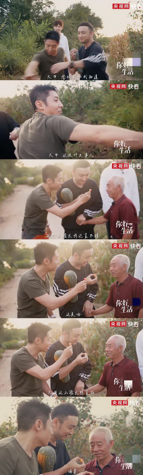 撒贝宁“指鹿为马”未能成功