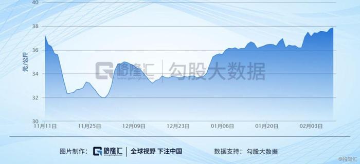 2020年猪周期盛宴继续，你敢上车吗？