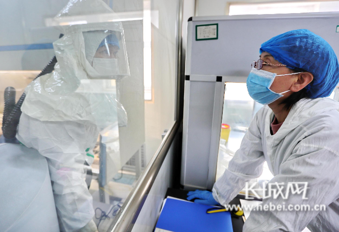 秦皇岛市疾控中心检验科检验人员沟通实验过程中的检测细节。曹建雄 摄