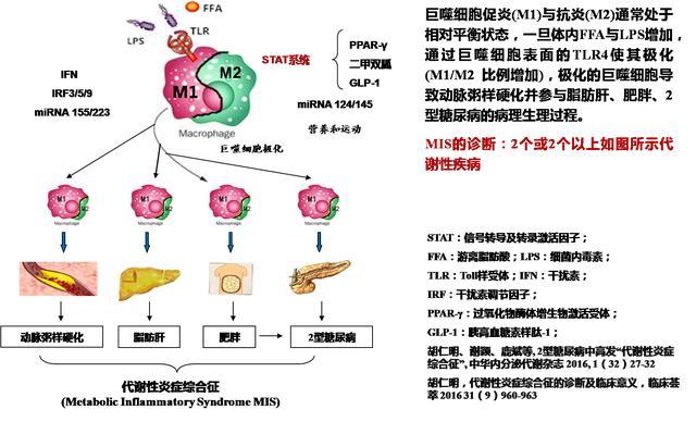 加拿大研究：抗疟药大幅降低红斑狼疮患者罹患2型糖尿病的风险