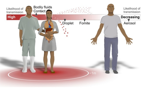 　　埃博拉病毒传播的可能途径。最可能通过直接接触体液传播，其次为飞沫传播，再次为物媒传播，可能性最低的是气溶胶传播。图片来自参考文献③。