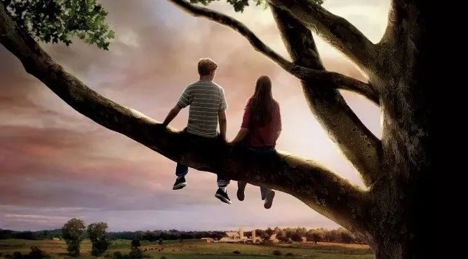 电影《怦然心动》截图