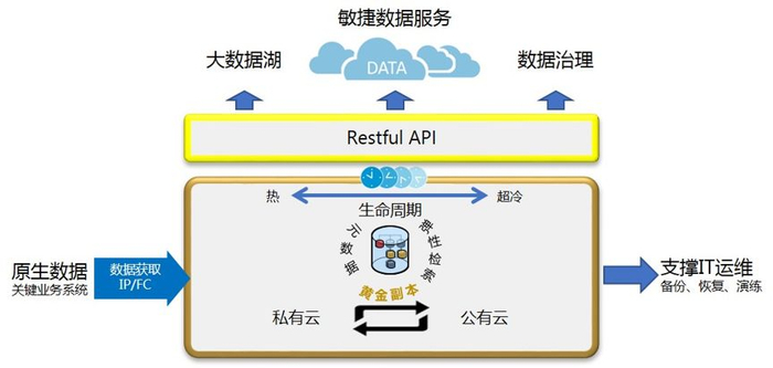▲图：CDM生态模型