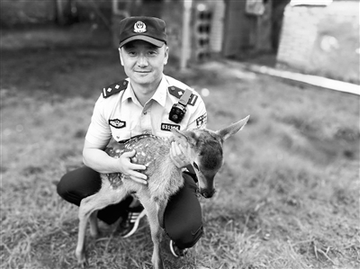 民警在辖区救助马鹿一只