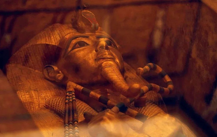 ▲图片来源：新京报网